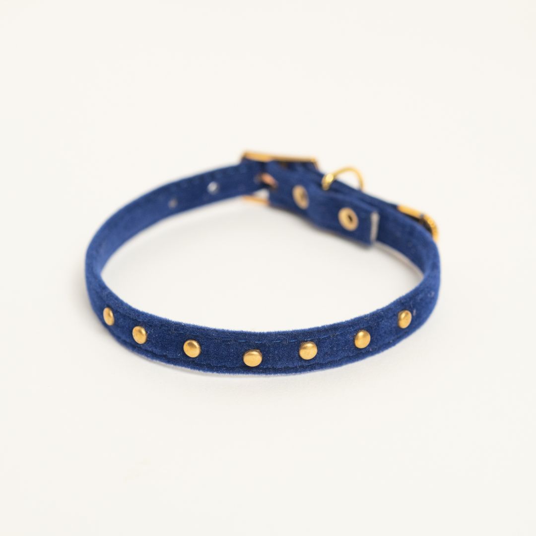 Leela Blue Cat Collar
