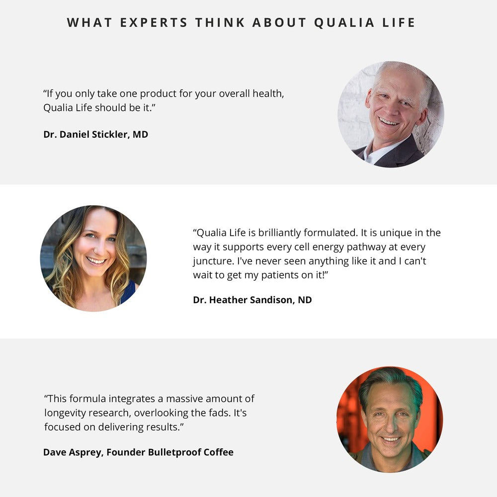 Qualia Life 2.0